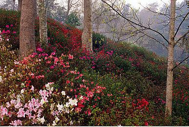 很快见面 《使命召唤:黑色行动7》重磅亮相2025科隆游戏展！